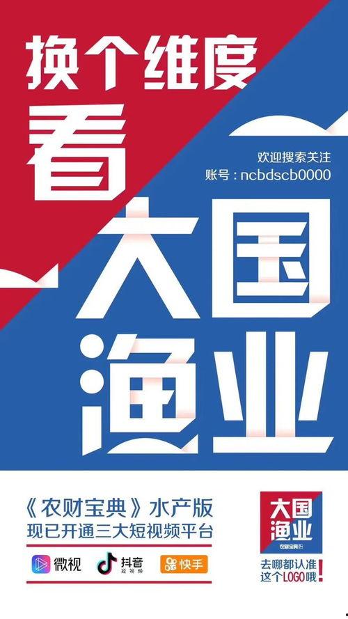 中国网红新闻爆料视频大全,中国热门新闻视频大盘点 第3张 中国网红新闻爆料视频大全,中国热门新闻视频大盘点 第3张